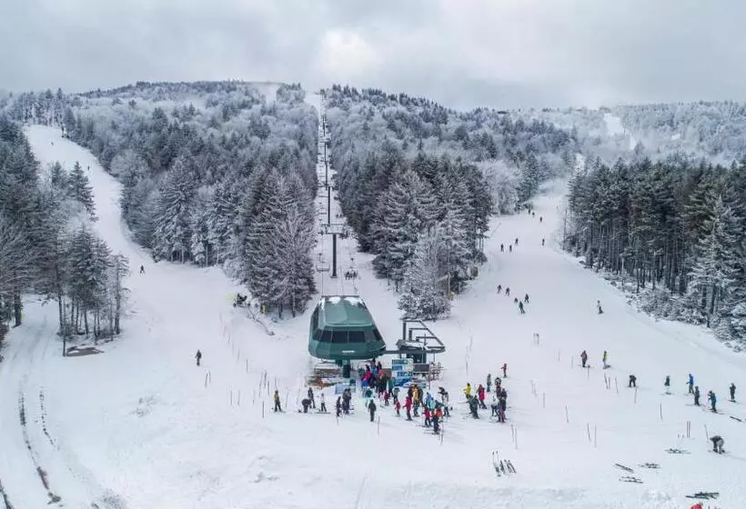 Stroll To Slopes, Village Area, Ski In Out Mtlodge 294