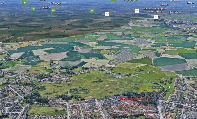 Blutsyde Promenade Encanto