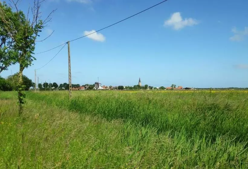 Blutsyde Promenade Encanto