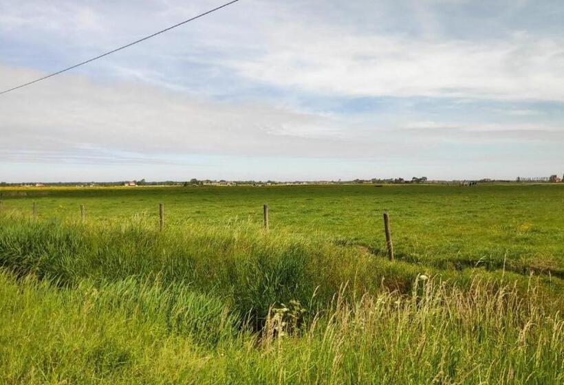 Blutsyde Promenade Encanto