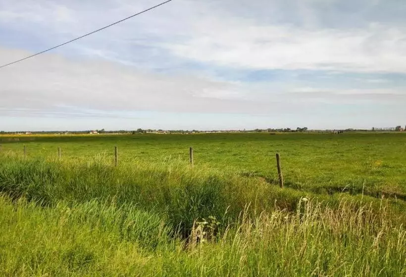 Blutsyde Promenade Encanto