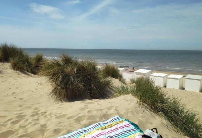 Blutsyde Promenade Encanto