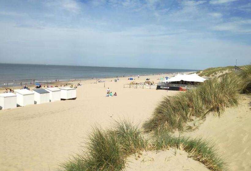 Blutsyde Promenade Encanto