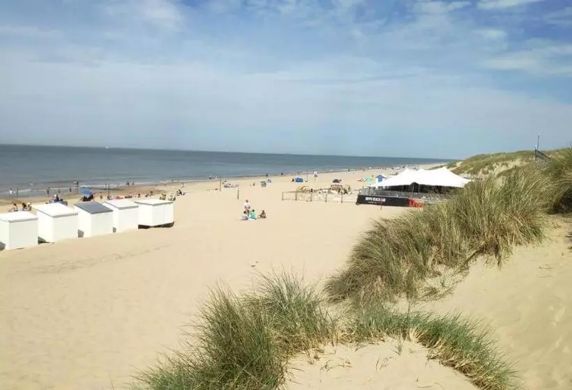 Blutsyde Promenade Encanto