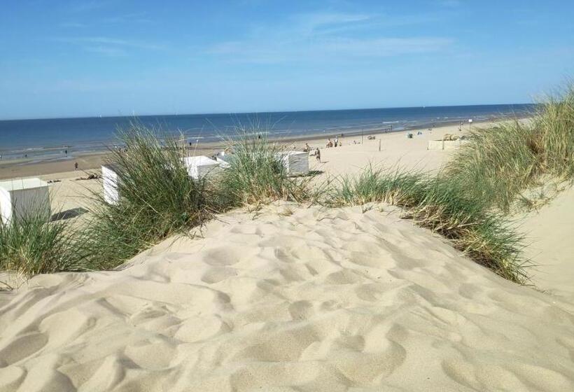 Blutsyde Promenade Encanto