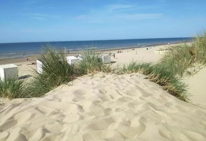 Blutsyde Promenade Encanto