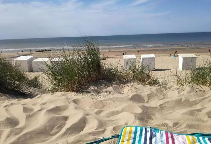 Blutsyde Promenade Encanto