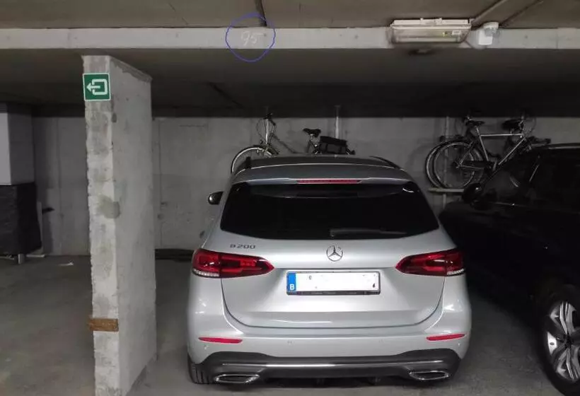 Blutsyde Promenade Encanto