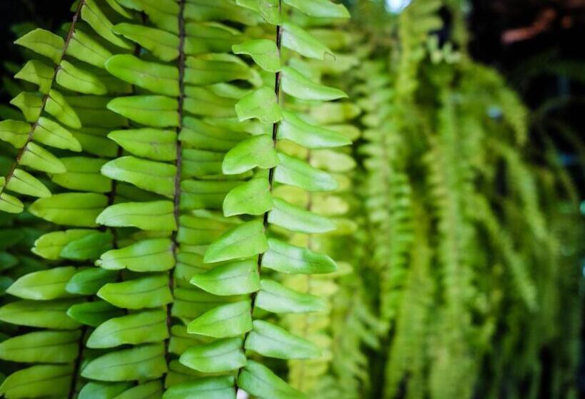 Hôtel โรงแรมบ้านเพิ่มสุข อิมแพ็ค เมืองทอง