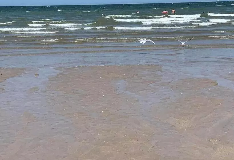 Jolie Maison Proche Des Commerces Et De La Plage