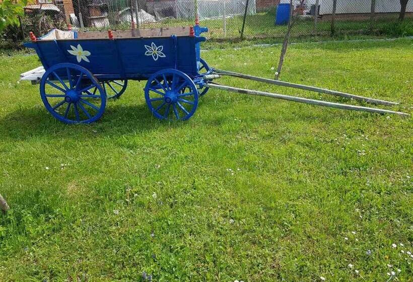 膳宿费 стаи за гости живел