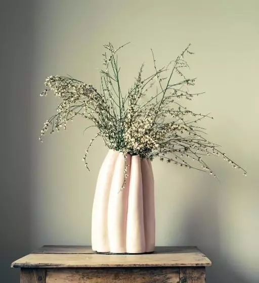 Majatalo Maison Léonard Du Ventoux