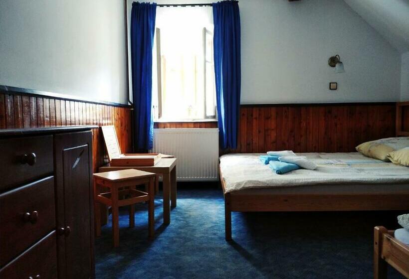 Пансион Penzion U Lucerny S Malou Farmičkou