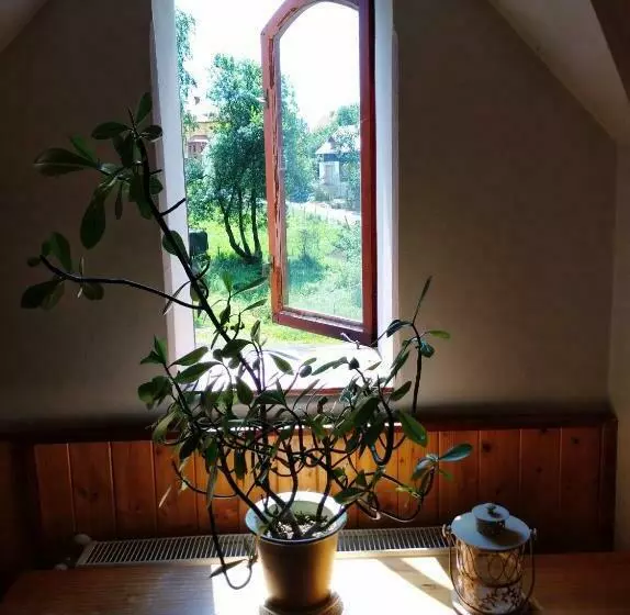 ペンション Penzion U Lucerny S Malou Farmičkou