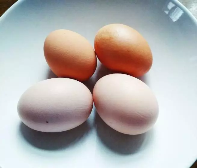 ペンション Penzion U Lucerny S Malou Farmičkou