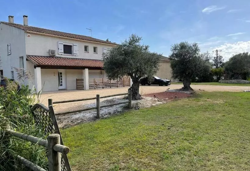 Appartements Calmes Le Mas De Lauriane