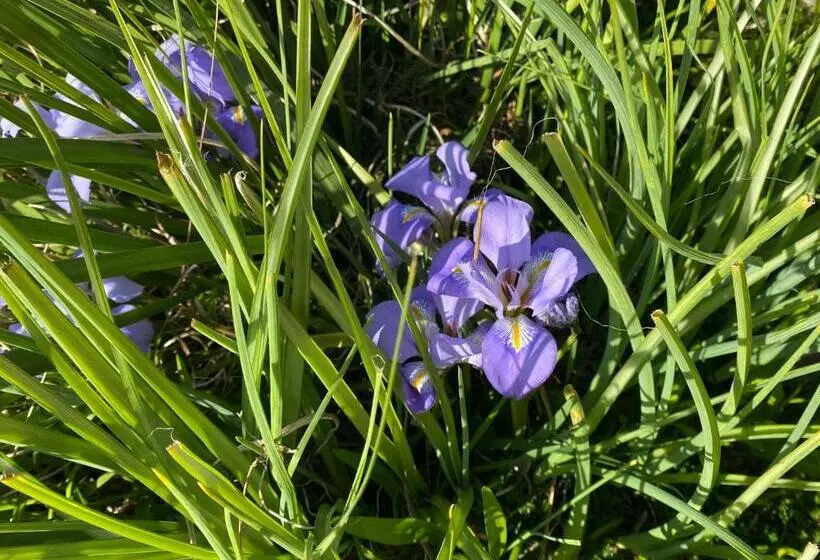 Aruma Cottage Bruny Island