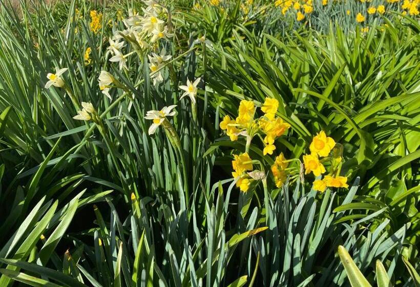 Aruma Cottage Bruny Island
