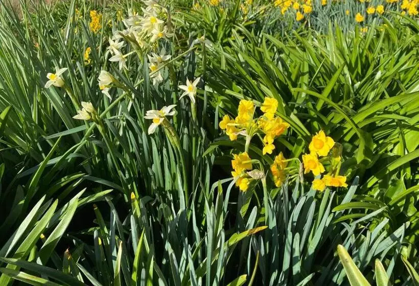 Aruma Cottage Bruny Island
