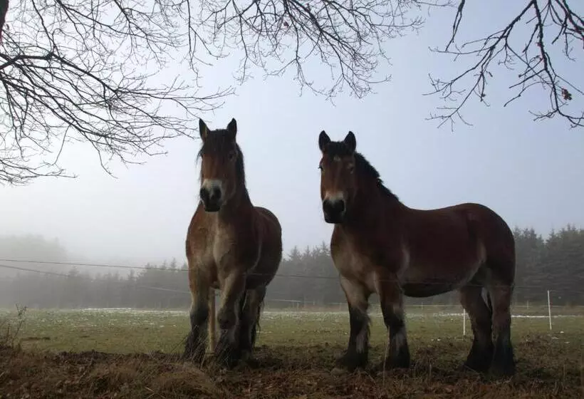 Fewo Rosenberger Sauerland