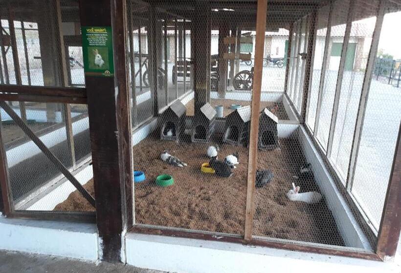 Flat Monte Castelo Gravatá Módulo 17