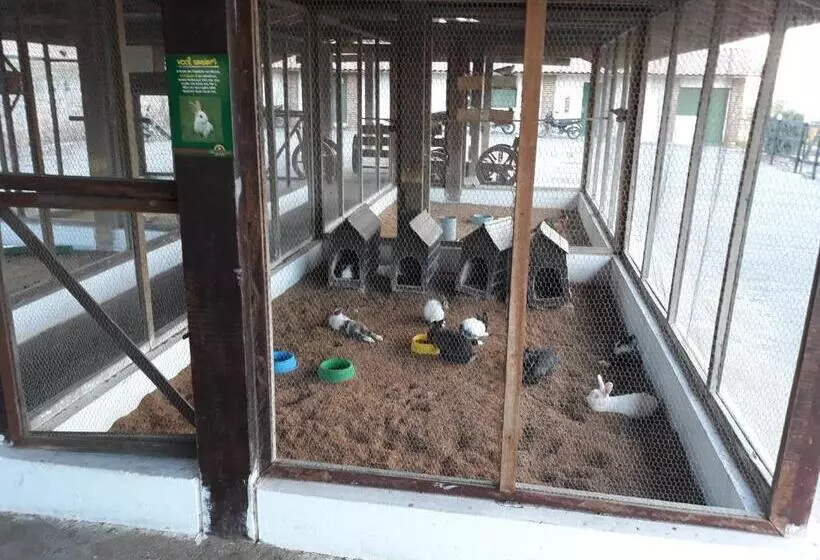 Flat Monte Castelo Gravatá Módulo 17