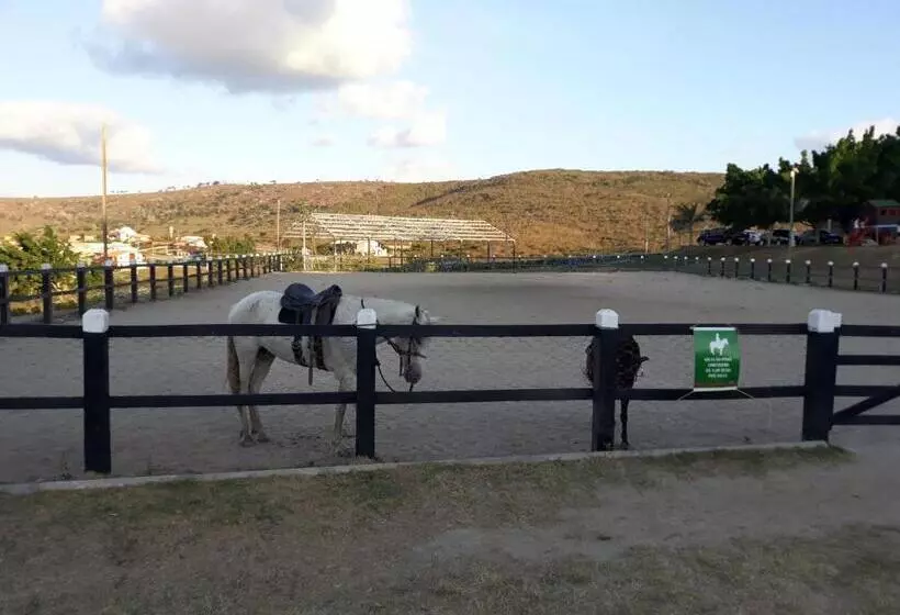 Flat Monte Castelo Gravatá Módulo 17