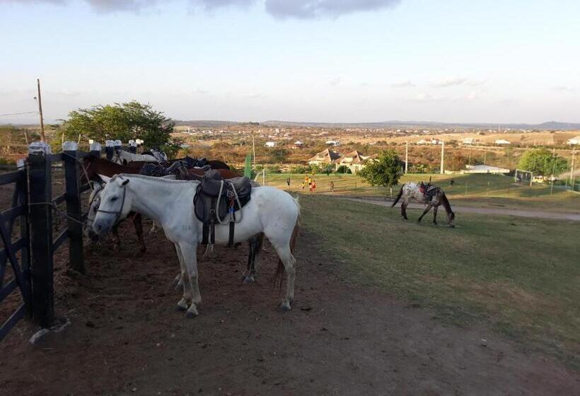 Flat Monte Castelo Gravatá Módulo 17