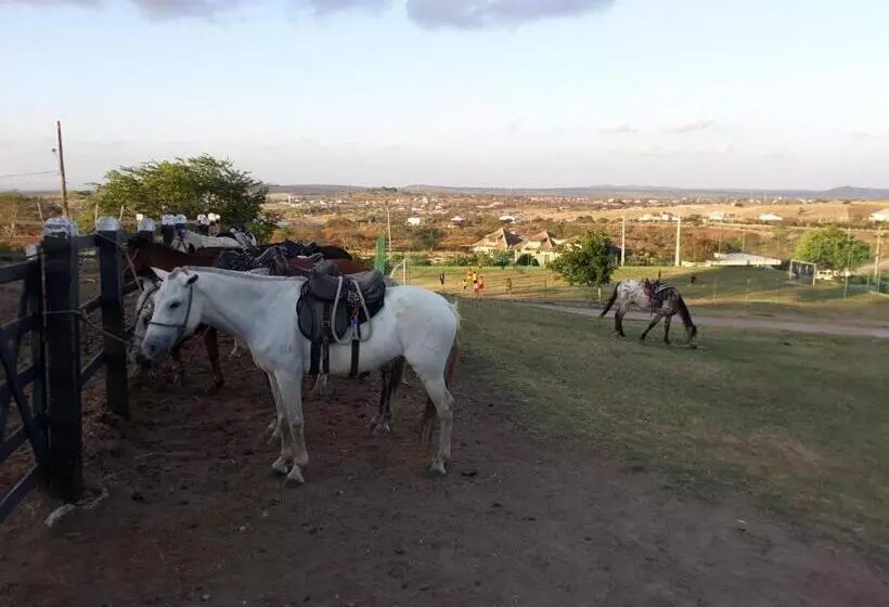 Flat Monte Castelo Gravatá Módulo 17