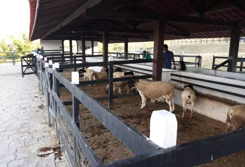 Flat Monte Castelo Gravatá Módulo 17