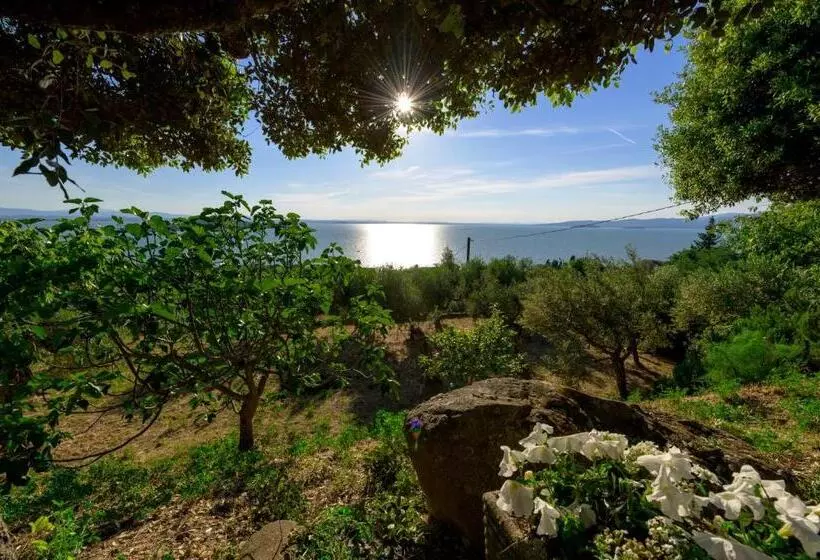 Majatalo Panorami Sul Trasimeno