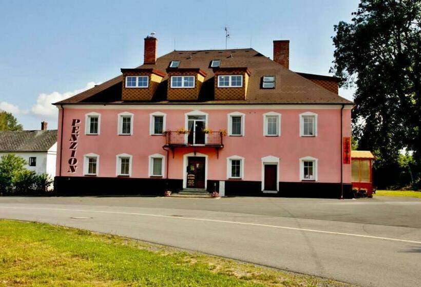 Pensjonat Penzion Mlýnický Dvůr