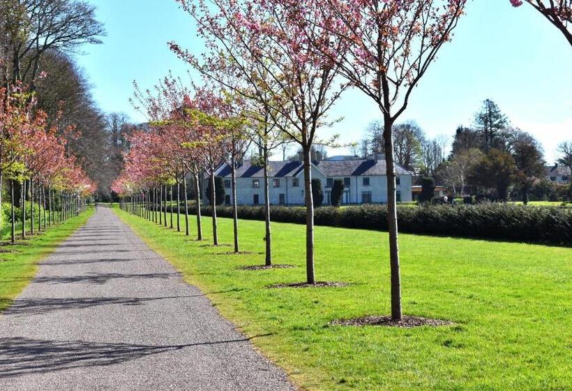 Pension (Hôtel basse catégorie) The Birches Killarney