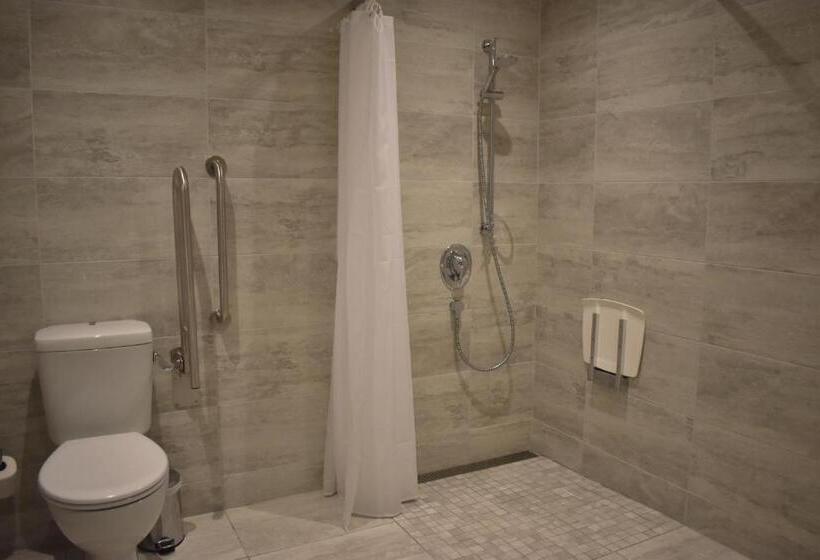 Pension (Hôtel basse catégorie) The Birches Killarney