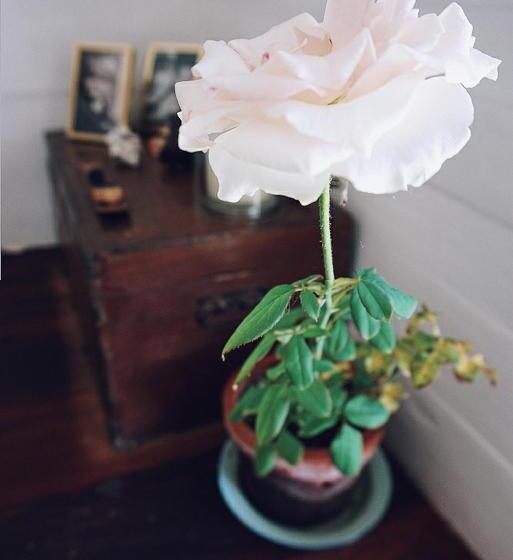 Samadhi Sunrise Temple Villa