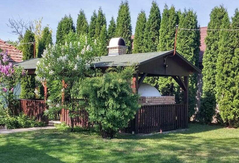 Bíró Udvar Vendégház