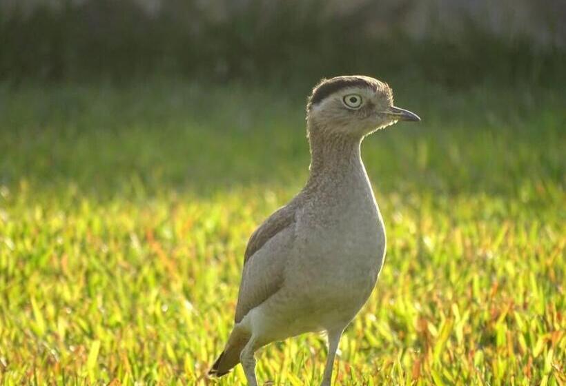Casa De Campo La Luna Cieneguilla