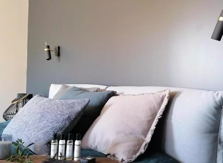 Hotelli Hôtel Les Suites Du Maquis