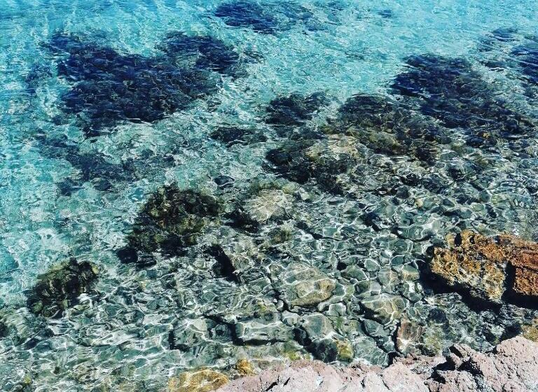 酒店 Hôtel Les Suites Du Maquis