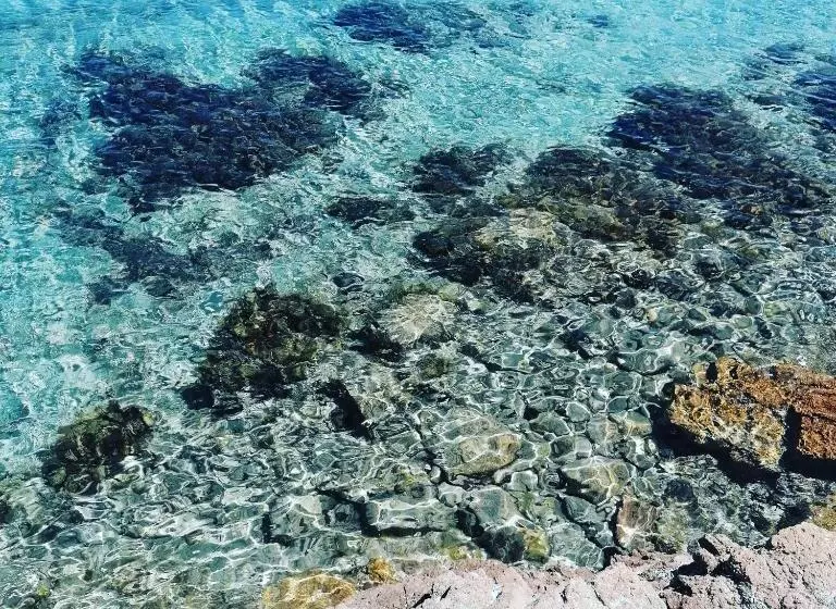 Hotelli Hôtel Les Suites Du Maquis