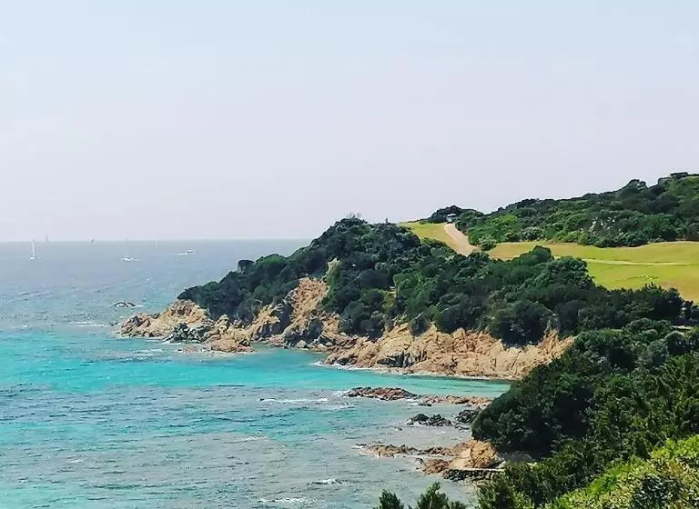 Hotelli Hôtel Les Suites Du Maquis