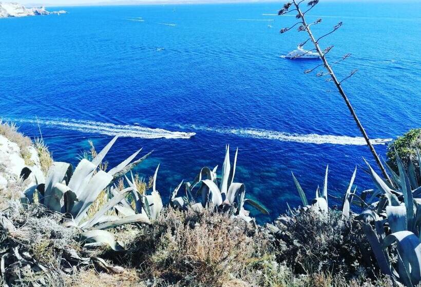 酒店 Hôtel Les Suites Du Maquis