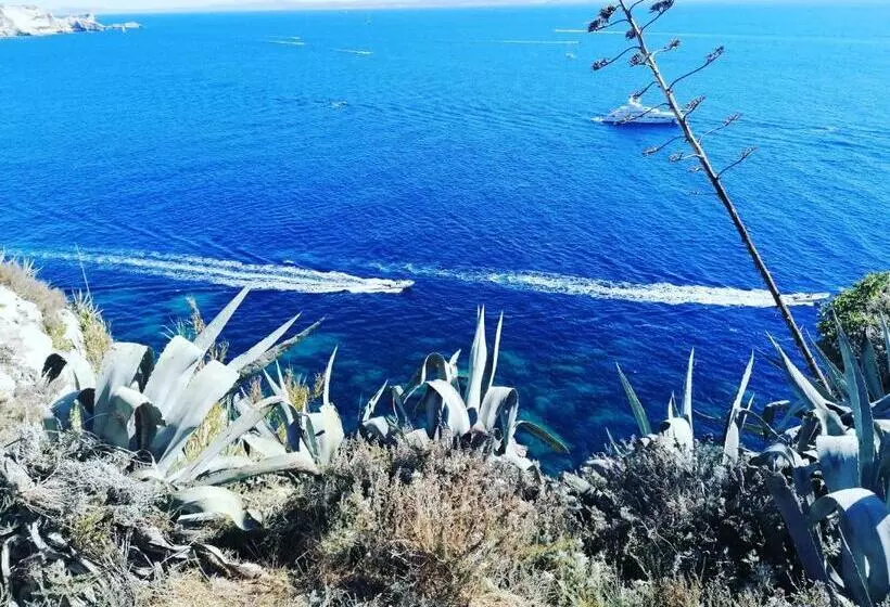 Hotelli Hôtel Les Suites Du Maquis