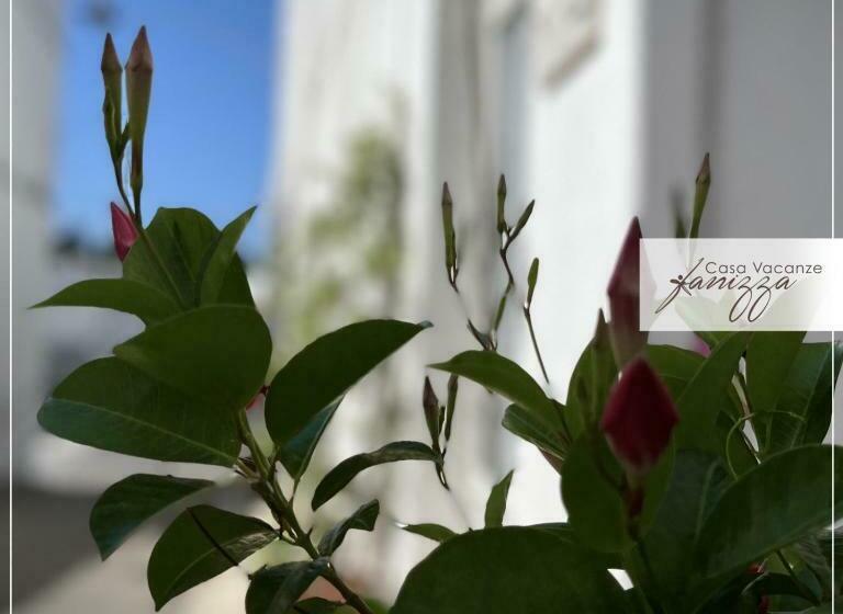 پانسیون Rebecca E Sofia Stone House Affittacamere