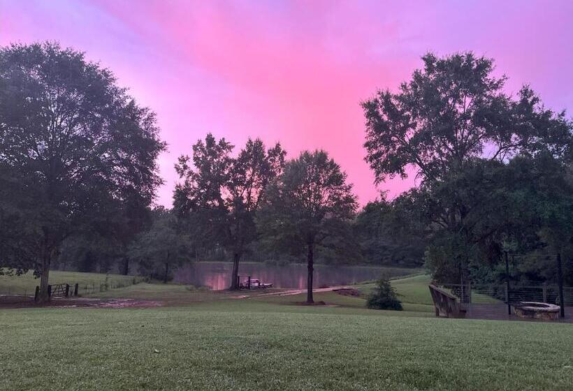 Refuge Ranch Retreat Log Cabin Lake 53+ Acres