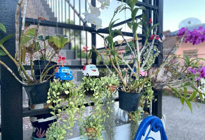 เชียงคาน เรสติ้ง เพลส