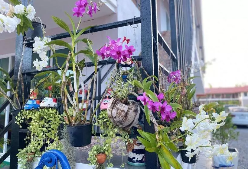 เชียงคาน เรสติ้ง เพลส