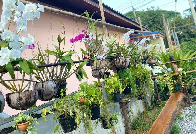 เชียงคาน เรสติ้ง เพลส