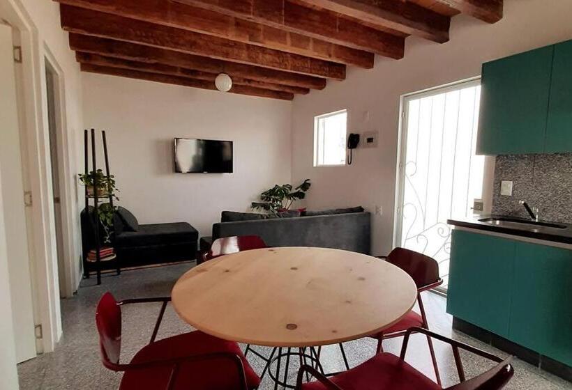 125 Donceles Terraza Privada Centro Histórico Cdmx