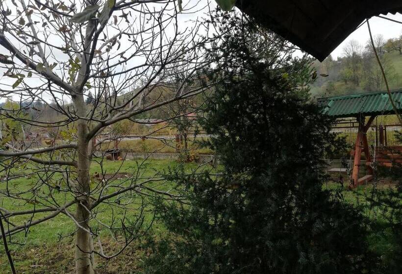 펜션 Casa Cozorici